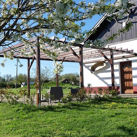 Tisza White House Bed and Breakfast Tiszaszolos Buitenkant foto