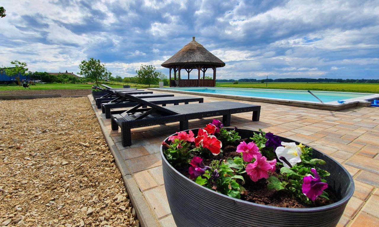 Tisza White House Bed and Breakfast Tiszaszolos Buitenkant foto