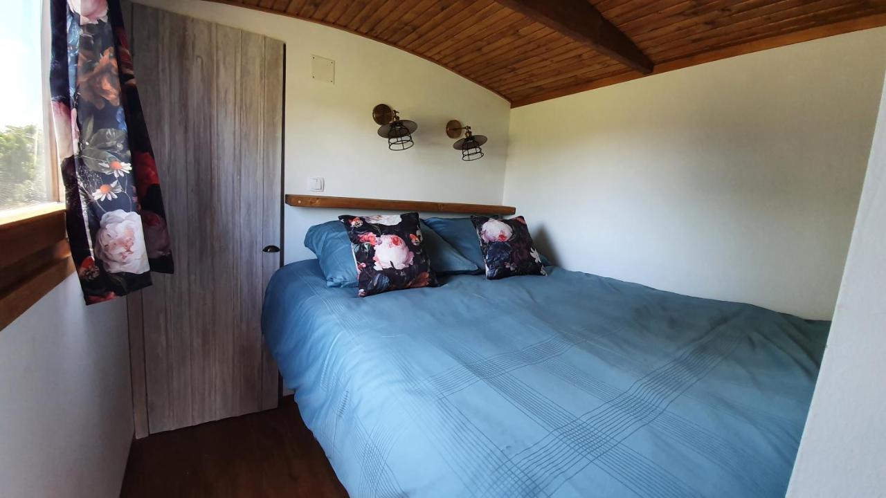 Tisza White House Bed and Breakfast Tiszaszolos Buitenkant foto