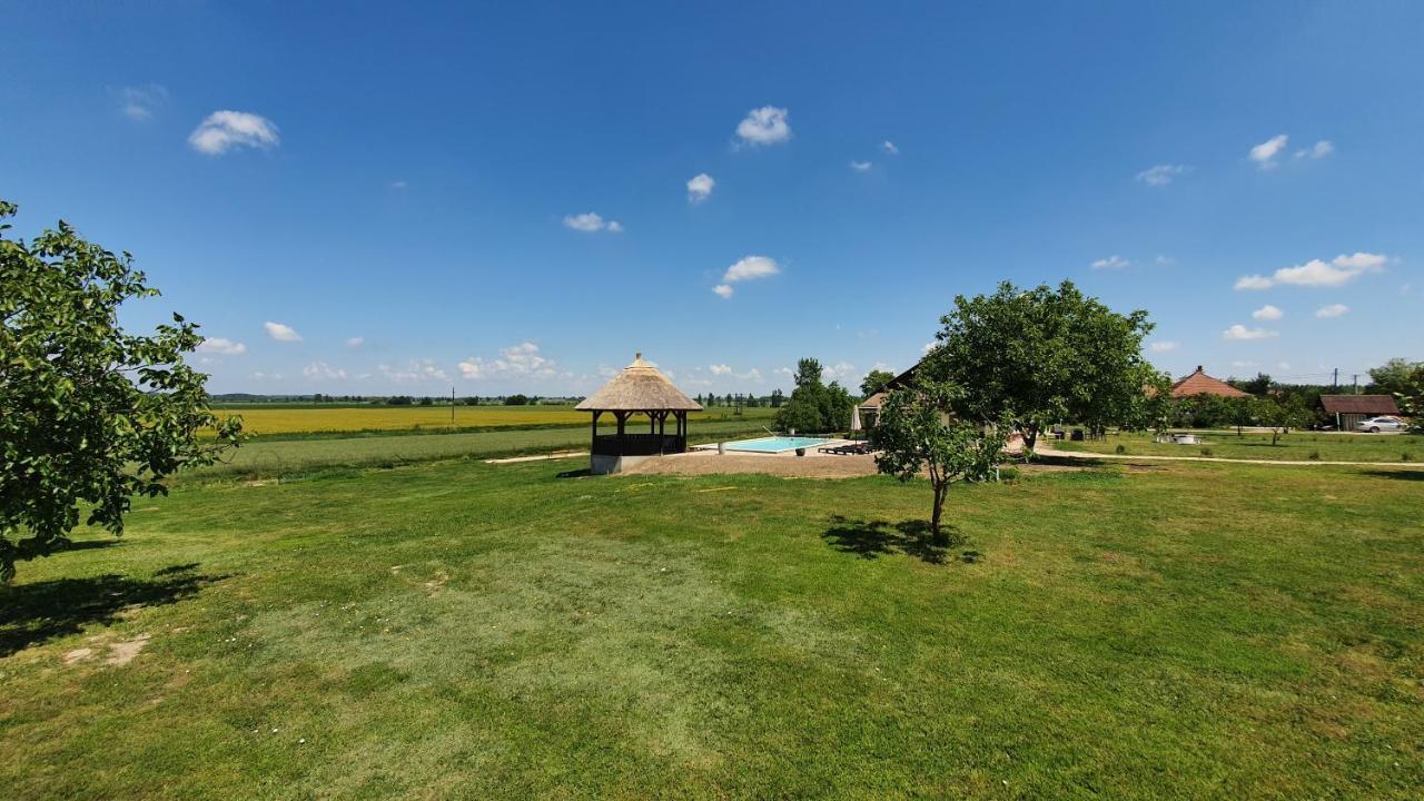 Tisza White House Bed and Breakfast Tiszaszolos Buitenkant foto