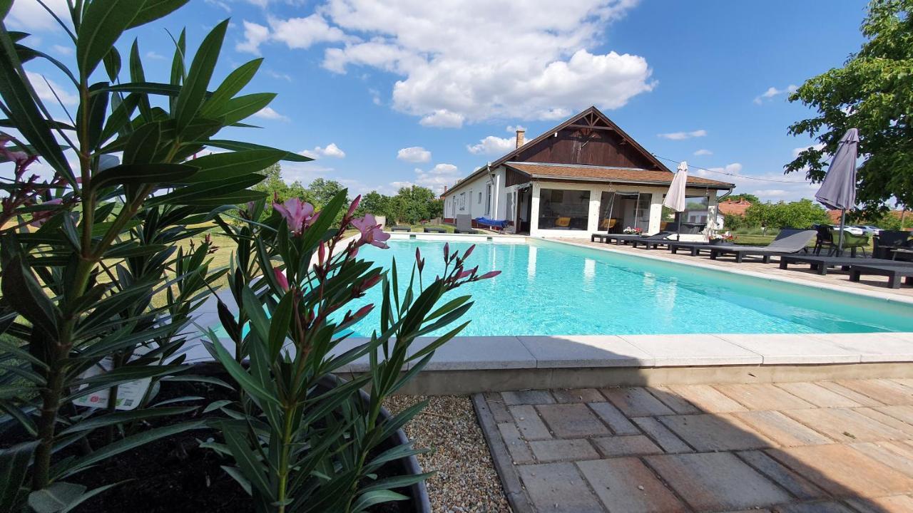 Tisza White House Bed and Breakfast Tiszaszolos Buitenkant foto