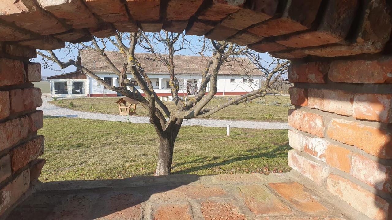 Tisza White House Bed and Breakfast Tiszaszolos Buitenkant foto