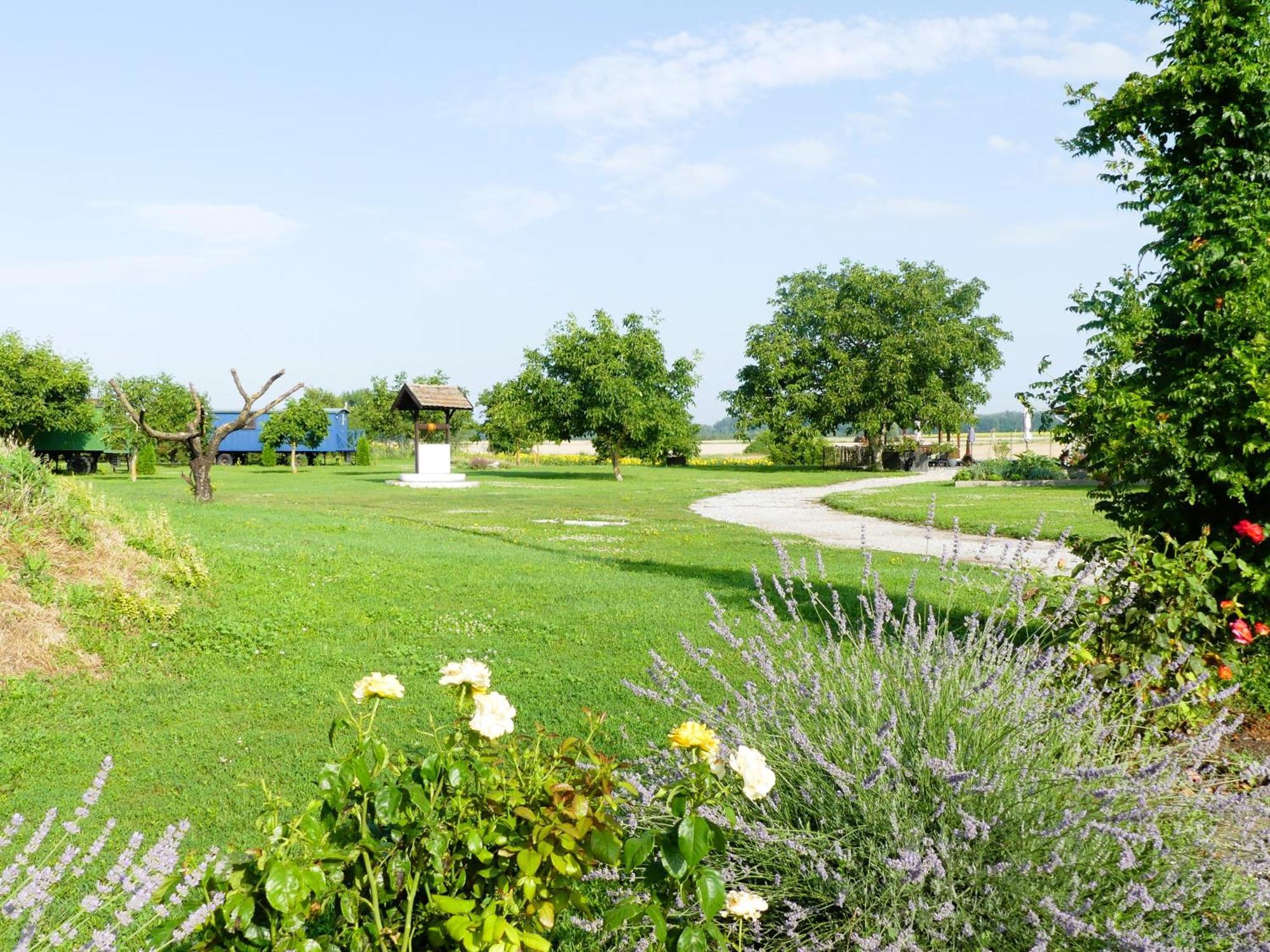 Tisza White House Bed and Breakfast Tiszaszolos Buitenkant foto